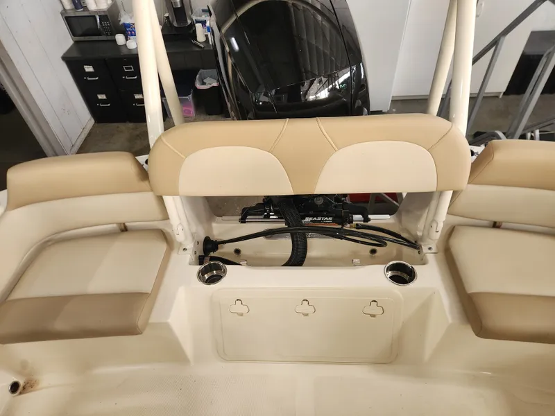 Slide: The Image of Scout 195 Dorado 2024 - 7