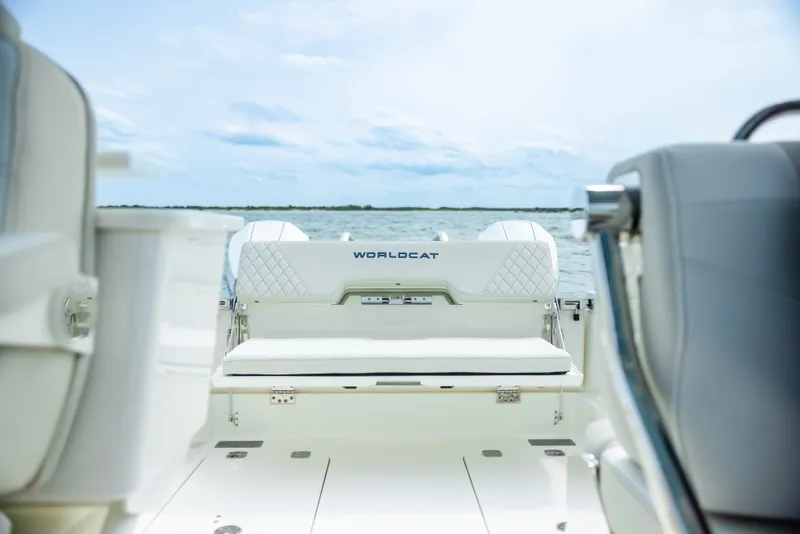 Slide: The Image of World Cat 260DC-X Dual Console 2024 - 29