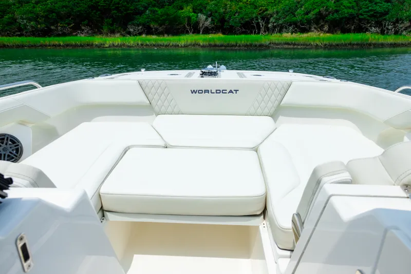 Slide: The Image of World Cat 260DC-X Dual Console 2024 - 27