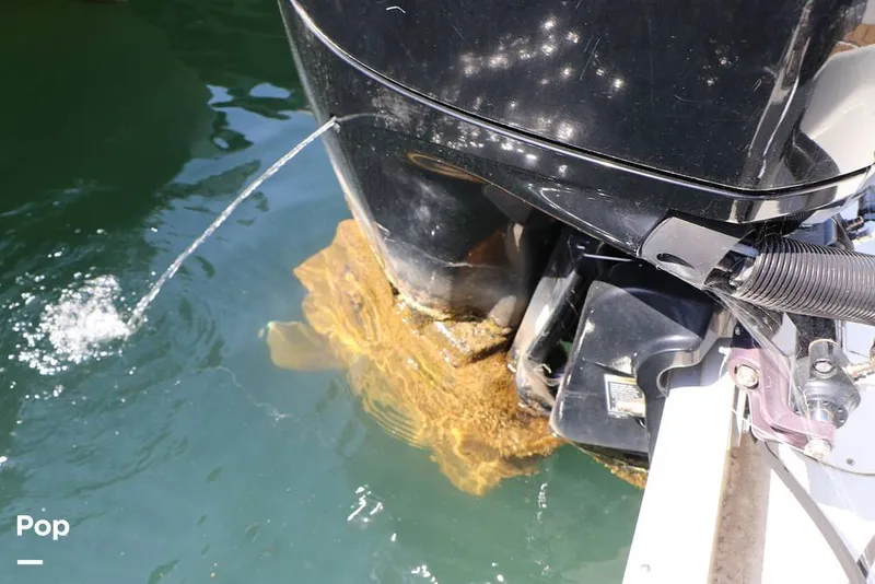 Slide: The Image of Crownline Boats E225 XS OB 2023 - 16295767