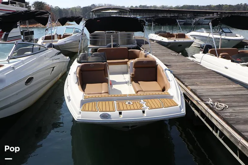 Slide: The Image of Crownline Boats E225 XS OB 2023 - 16295798