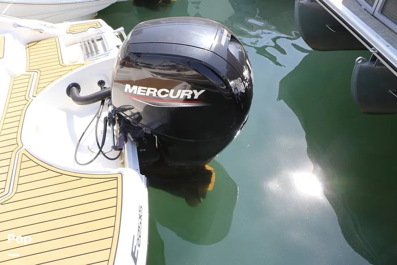 Slide: The Image of Crownline Boats E225 XS OB 2023 - 16295752