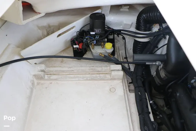 Slide: The Image of Sea Ray SPX 230 2024 - 16143289