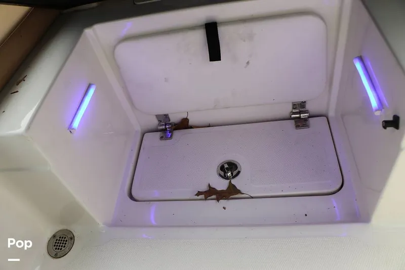 Slide: The Image of Sea Ray SPX 230 2024 - 16143322