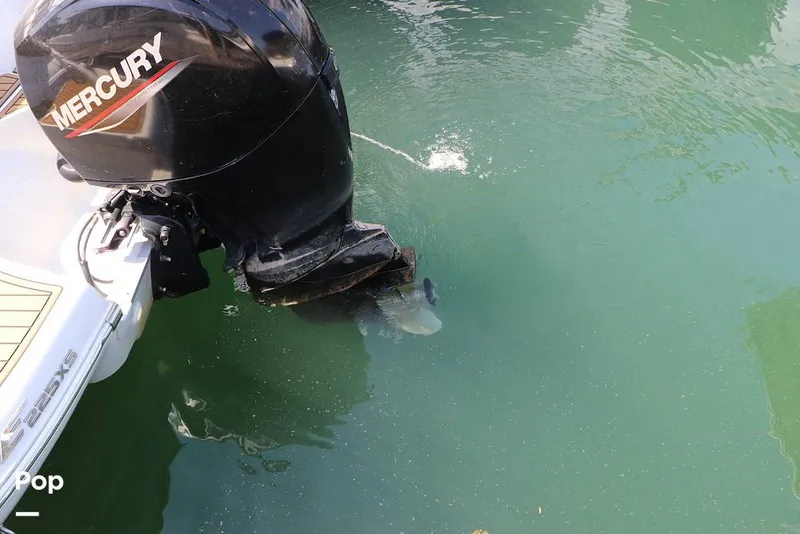 Slide: The Image of Crownline Boats E225 XS 2023 - 16368711