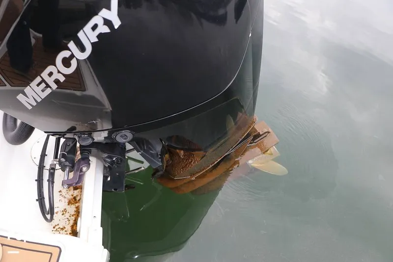 Slide: The Image of Crownline Boats E235 XS 2023 - 16143098