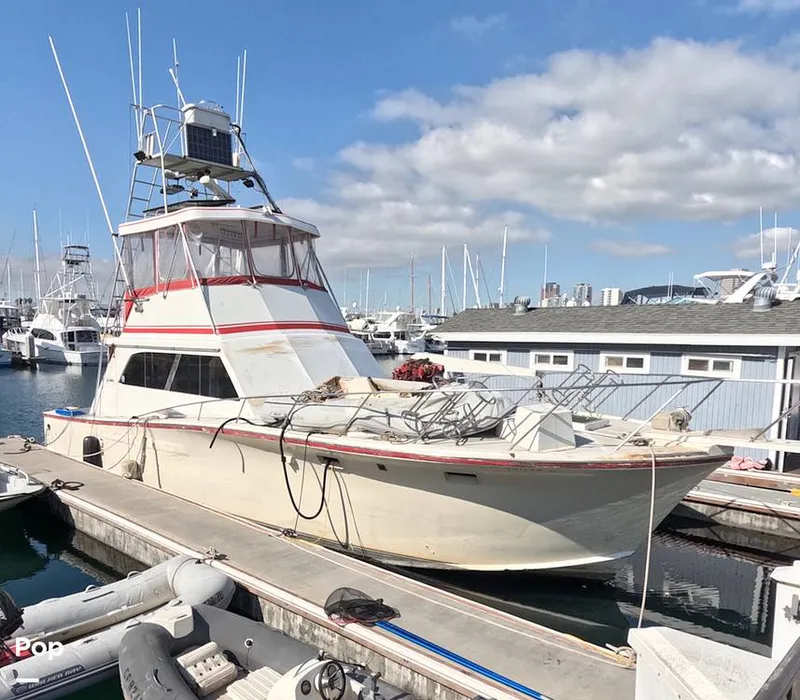 The Image of Egg Harbor 46 Sportfisherman 1974 - 16138240