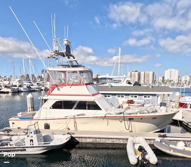 Slide: The Image of Egg Harbor 46 Sportfisherman 1974 - 16146380