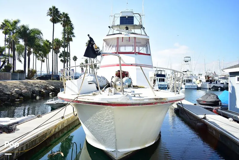 Slide: The Image of Egg Harbor 46 Sportfisherman 1974 - 16146418