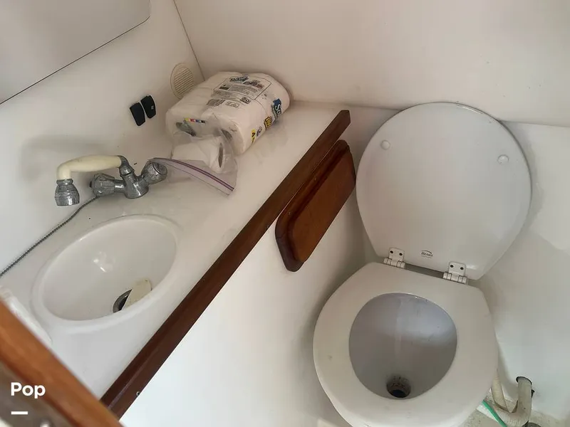 Slide: The Image of Head - 16202200