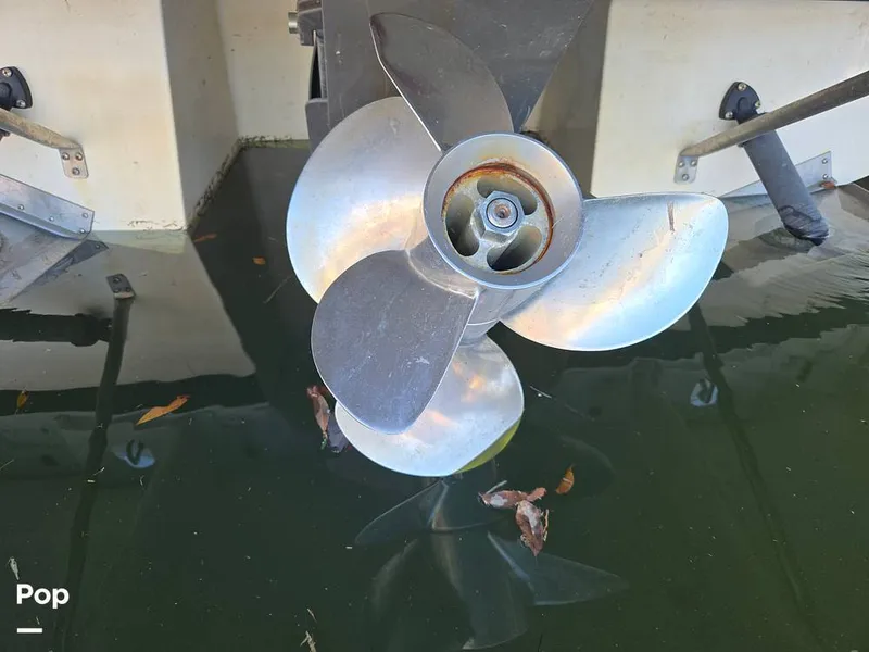 Slide: The Image of Regal 2565 2011 - 16209043