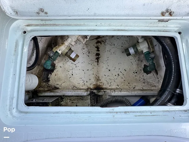 Slide: The Image of Exuma 20 2021 - 16155017