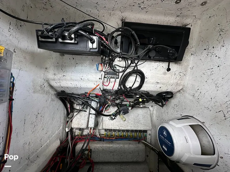 Slide: The Image of Exuma 20 2021 - 16155043