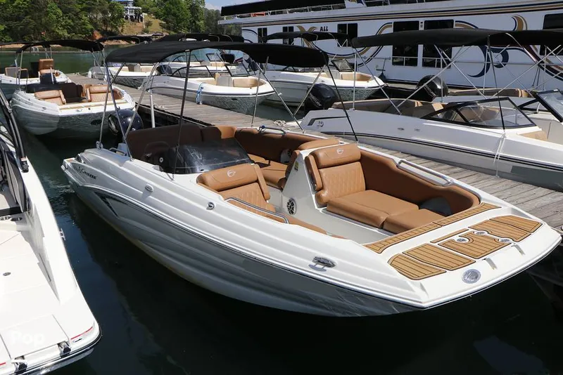 The Image of Crownline Boats E225 XS 2023 - 16368614