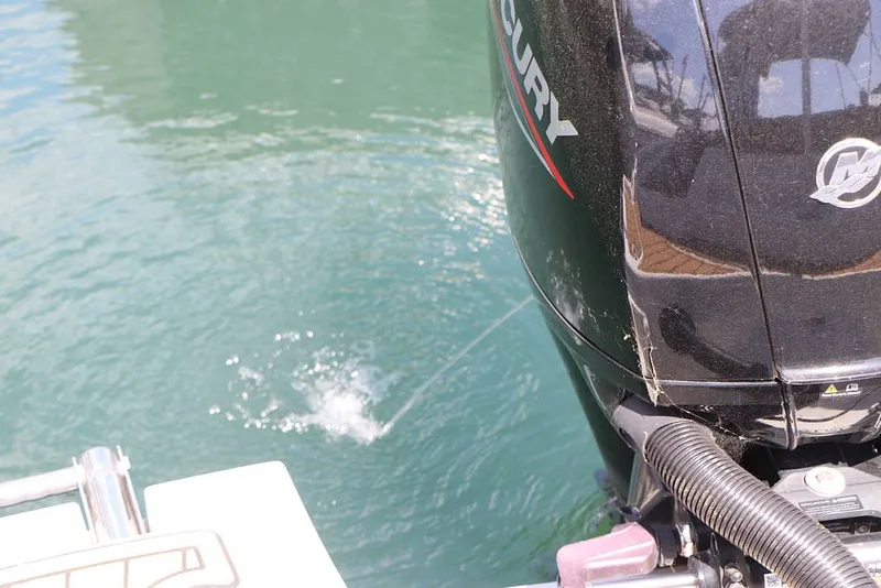 Slide: The Image of Crownline Boats E225 XS 2023 - 16368669