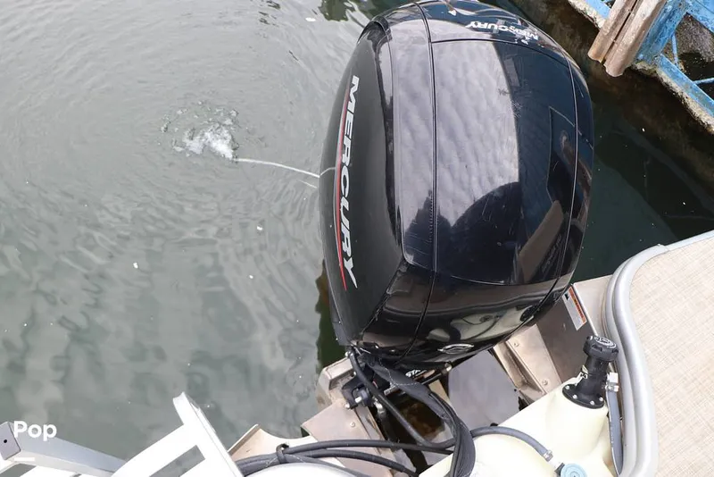 Slide: The Image of Lowe SS230W 2024 - 16194883