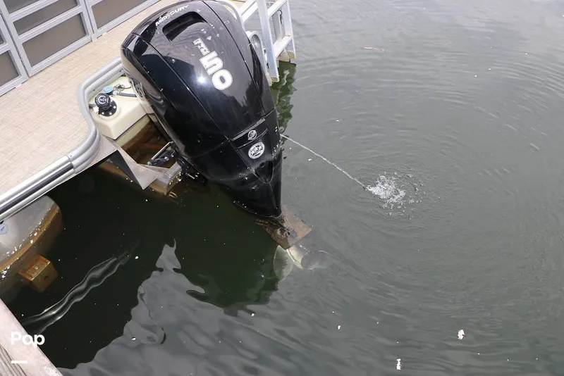 Slide: The Image of Lowe SS230W 2024 - 16194884