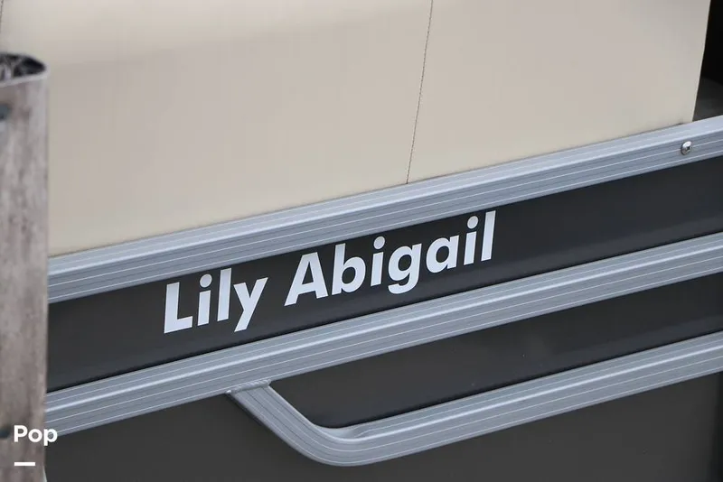 Slide: The Image of Lowe SS230W 2024 - 16194850