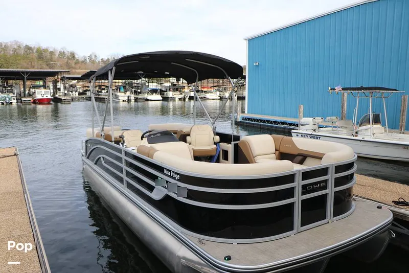 Slide: The Image of Lowe SS230W 2024 - 16195021