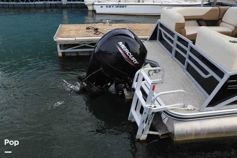 Slide: The Image of Lowe SS230W 2024 - 16195022