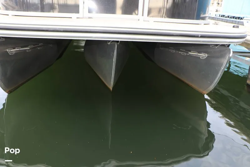 Slide: The Image of Lowe SS230W 2024 - 16195020