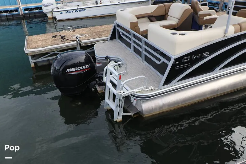 Slide: The Image of Lowe SS230W 2024 - 16195009