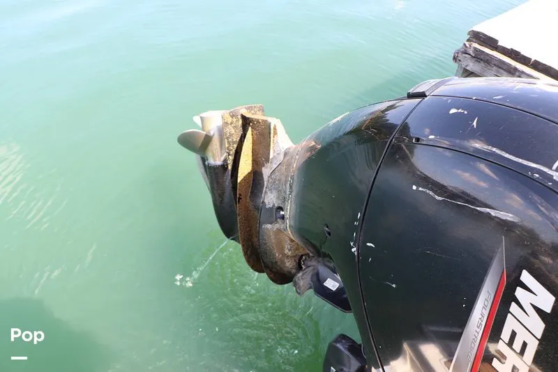 Slide: The Image of Bayliner VR6 OB 2024 - 16368434