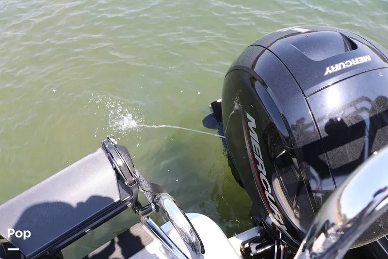 Slide: The Image of Harris Cruiser 230 2025 - 16330330