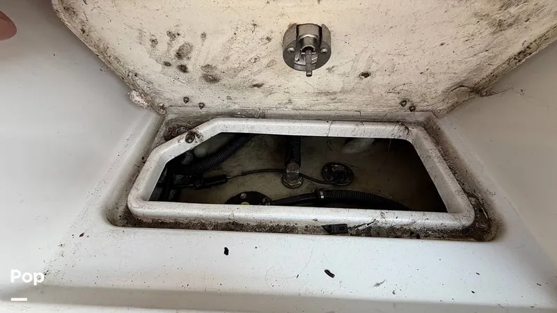 Slide: The Image of Sea Ray SPX 230 2022 - 16154246