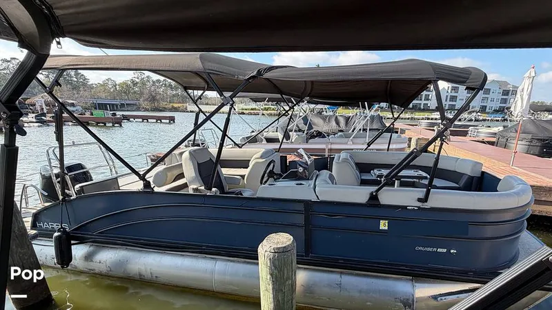 Slide: The Image of Harris Cruiser 230 2024 - 16155328