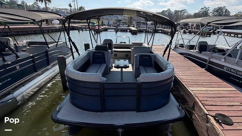 Slide: The Image of Harris Cruiser 230 2024 - 16155411