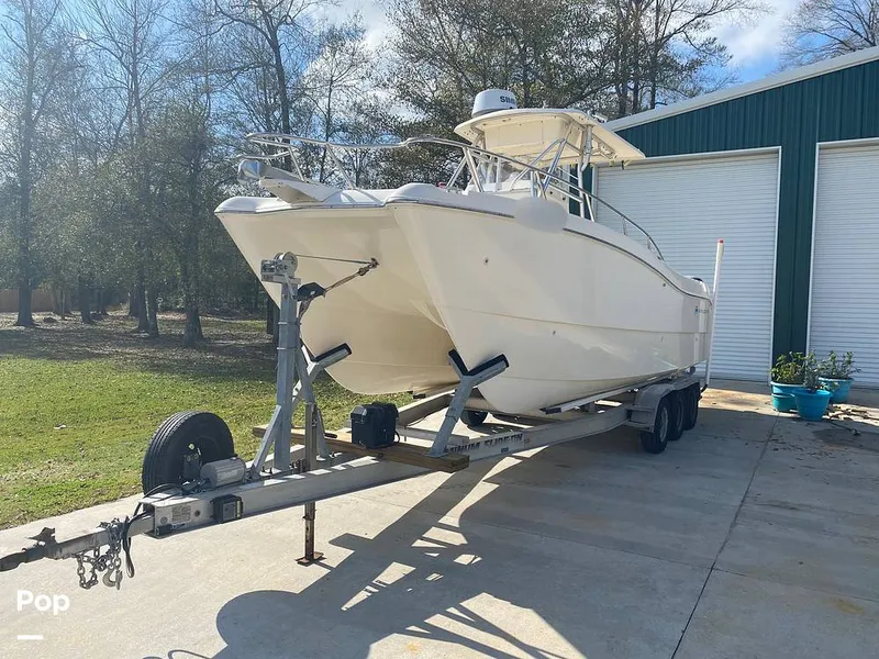 The Image of World Cat 246 SF 1999 - undefined