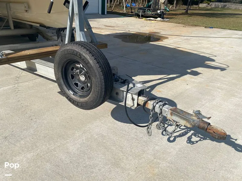 Slide: The Image of World Cat 246 SF 1999 - 16157779