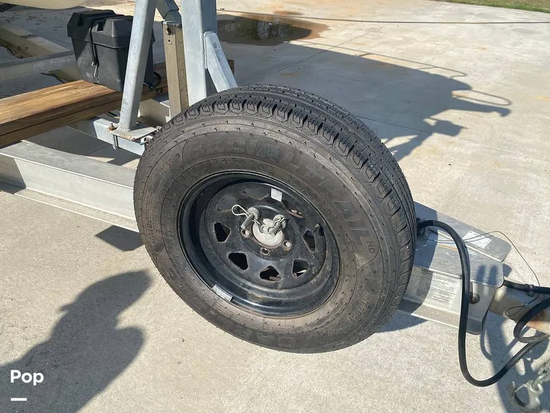 Slide: The Image of World Cat 246 SF 1999 - 16157780