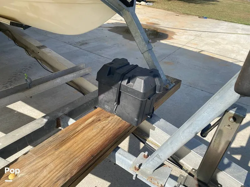 Slide: The Image of World Cat 246 SF 1999 - 16157781