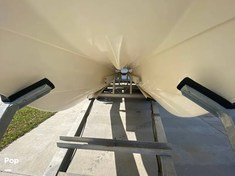 Slide: The Image of World Cat 246 SF 1999 - 16157783