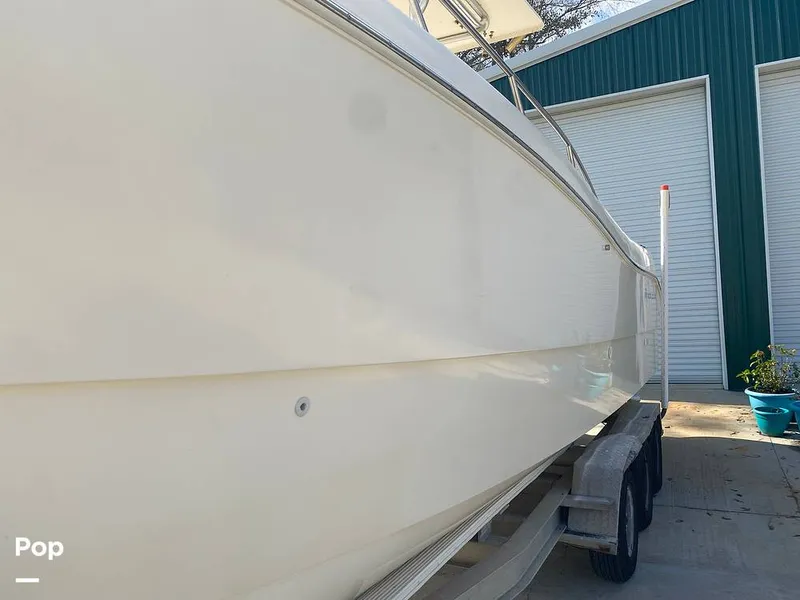 Slide: The Image of World Cat 246 SF 1999 - 16157784