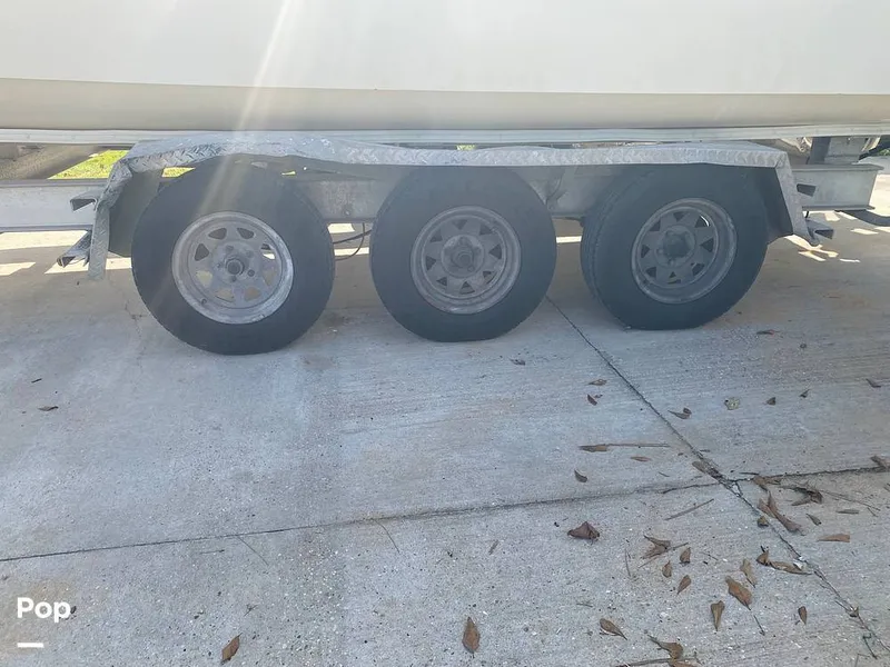 Slide: The Image of World Cat 246 SF 1999 - 16157785