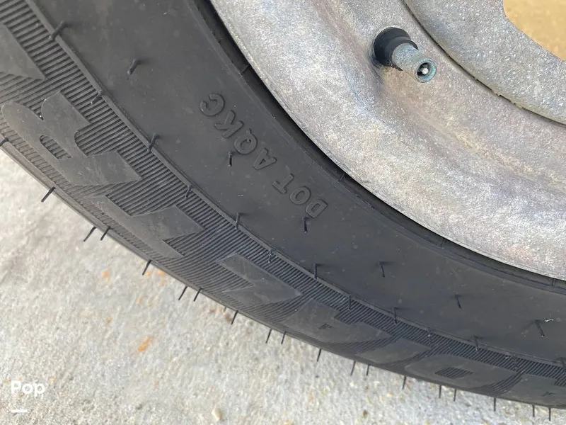 Slide: The Image of World Cat 246 SF 1999 - 16157786