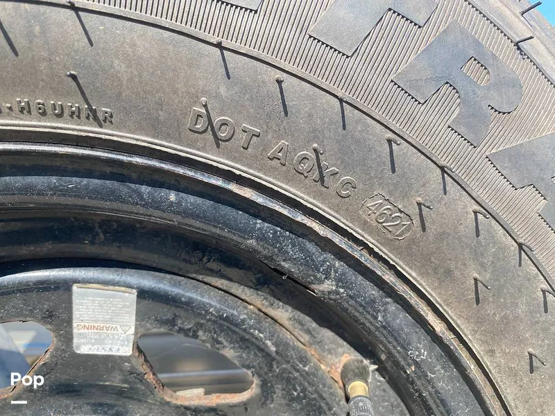 Slide: The Image of World Cat 246 SF 1999 - 16157788