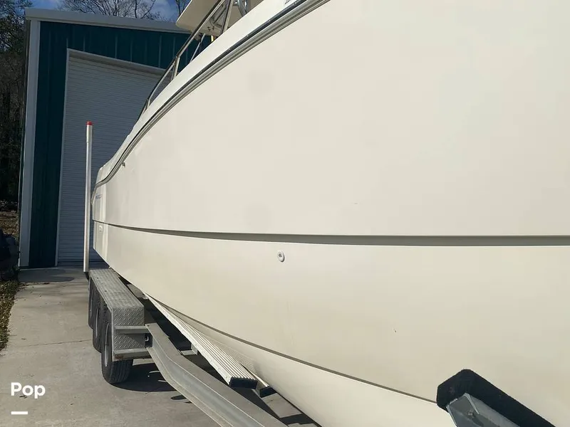 Slide: The Image of World Cat 246 SF 1999 - 16157789