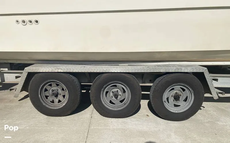 Slide: The Image of World Cat 246 SF 1999 - 16157790