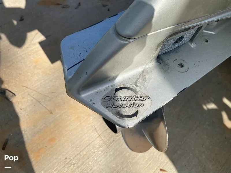 Slide: The Image of World Cat 246 SF 1999 - 16157791