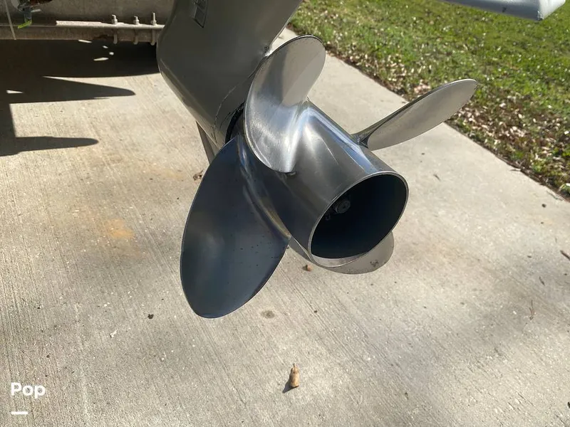 Slide: The Image of World Cat 246 SF 1999 - 16157792