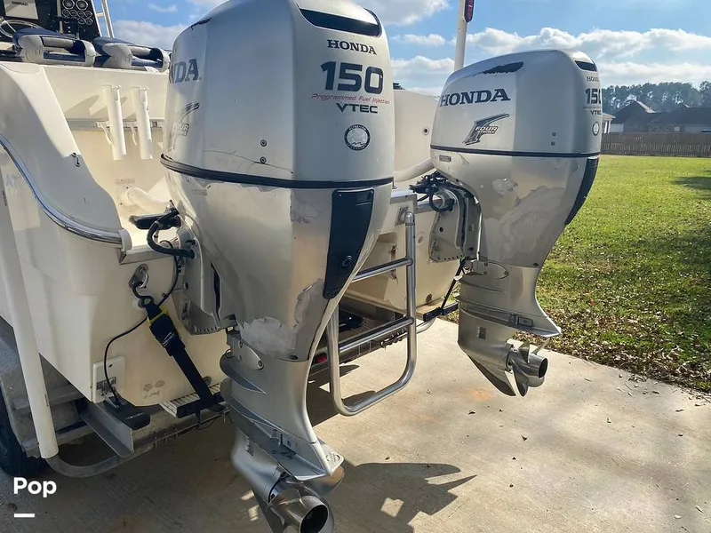 Slide: The Image of World Cat 246 SF 1999 - 16157794