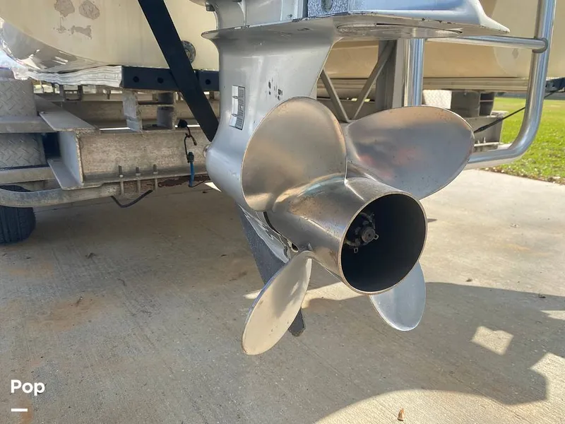 Slide: The Image of World Cat 246 SF 1999 - 16157795