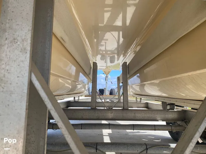 Slide: The Image of World Cat 246 SF 1999 - 16157796