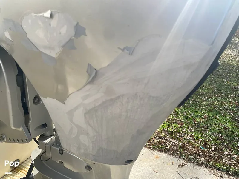 Slide: The Image of World Cat 246 SF 1999 - 16157797