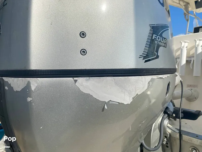 Slide: The Image of World Cat 246 SF 1999 - 16157798