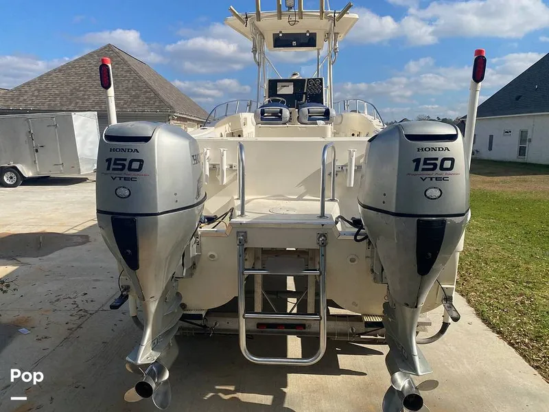 Slide: The Image of World Cat 246 SF 1999 - 16157772